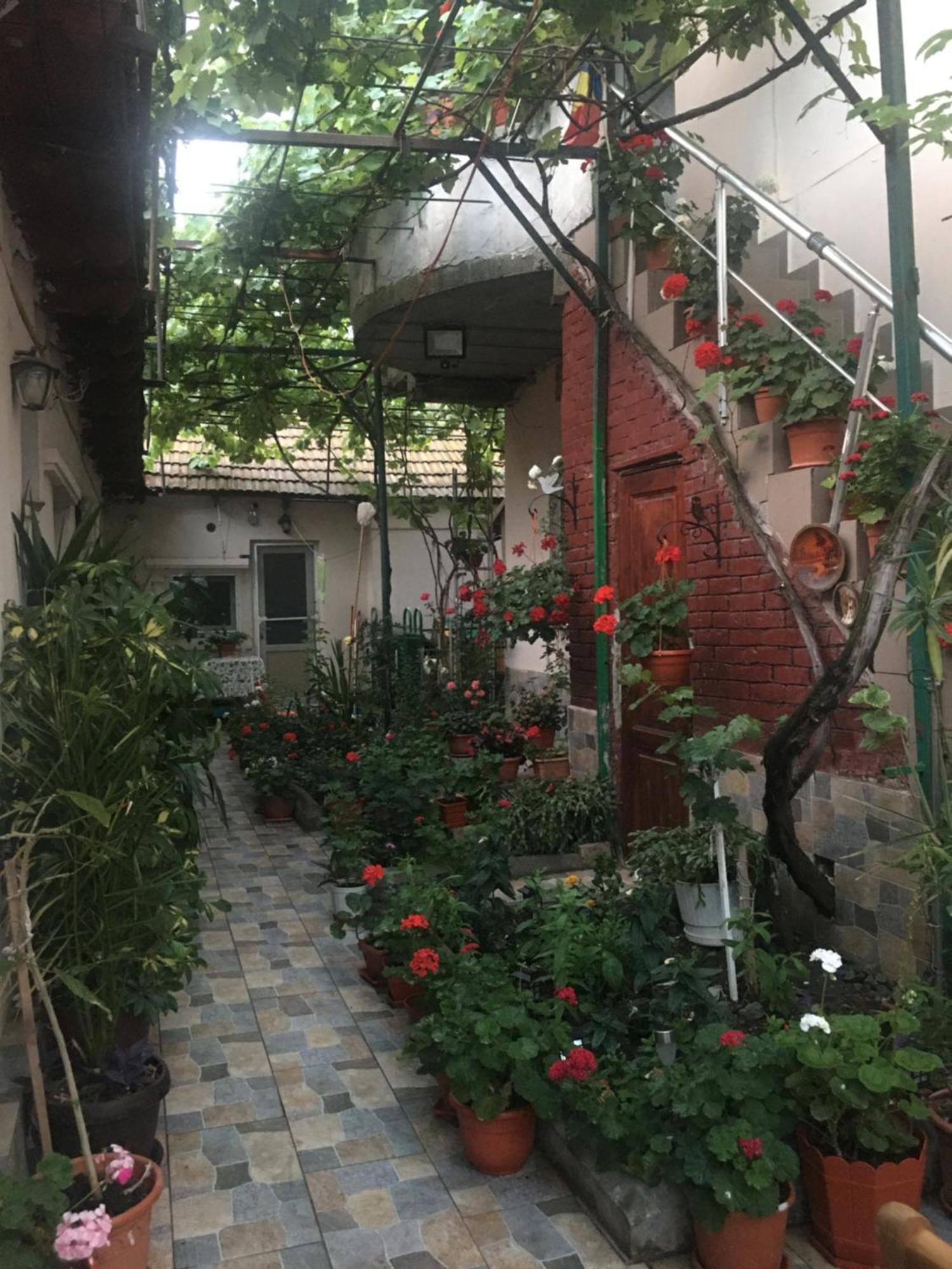 Cazare la mare vila Constanţa Exterior foto
