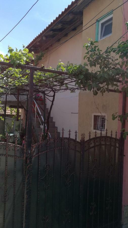 Cazare la mare vila Constanţa Exterior foto